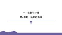 教科版（2024）五年级下册4.蚯蚓的选择习题ppt课件