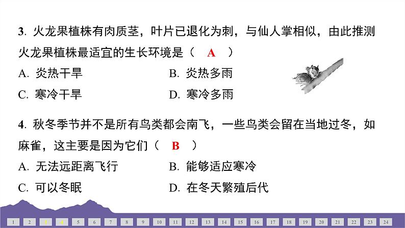 教科版（2017）科学五年级下册 期中测试（一）（习题课件）第4页