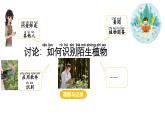 小學(xué)科學(xué)新大象版一年級(jí)下冊(cè)第三單元第三課《識(shí)別植物》教學(xué)課件（2025春）