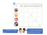 小學(xué)科學(xué)新湘科版一年級(jí)下冊(cè)第二單元第四課《認(rèn)識(shí)水》教學(xué)課件（2025春）