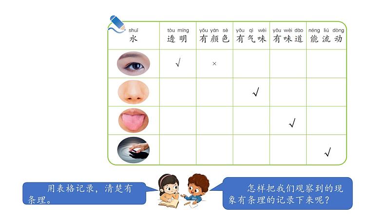 小学科学新湘科版一年级下册第二单元第四课《认识水》教学课件（2025春）第4页