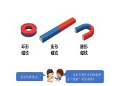 小學(xué)科學(xué)新湘科版一年級下冊第四單元第十二課《鐵與磁鐵》教學(xué)課件（2025春）