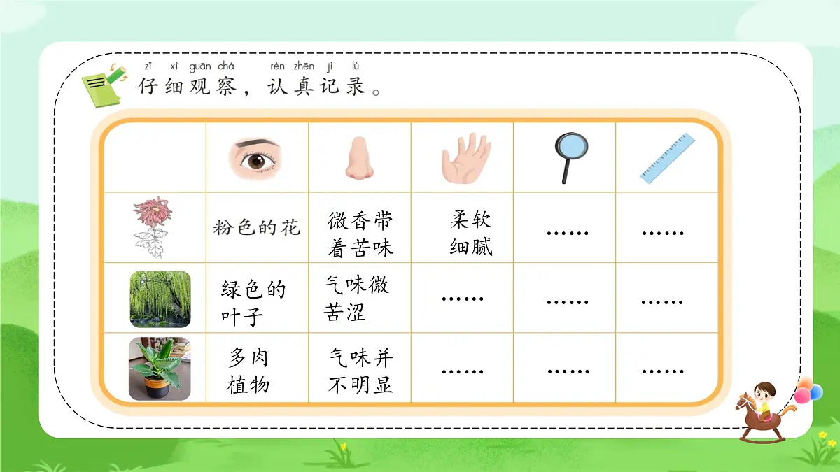 【核心素养】冀人版小学科学一年级下册 1 认识植物 课件第7页