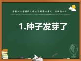 蘇教版三年級科學(xué)下冊第一單元第1課《種子發(fā)芽了》第二課時課件