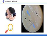 蘇教版五年級(jí)科學(xué)下冊(cè)第一單元第1課《搭建生命體的“積木”》教案及課件