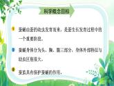教科版三年级科学下册第二单元第四课《蚕变了新模样》课件