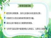教科版三年级科学下册第二单元第四课《蚕变了新模样》课件