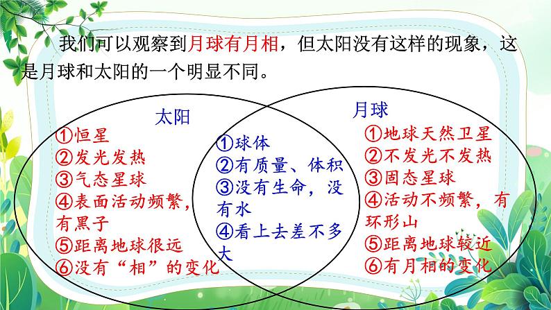 教科版三年级科学下册第三单元第四课《月相变化的规律》课件第6页