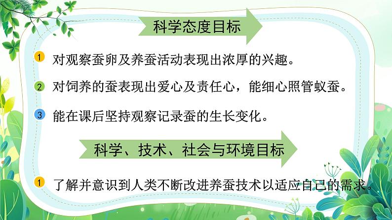 教科版三年级科学下册第二单元《动物的一生》全部课件（共8课）第6页