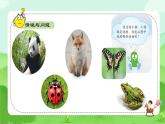 【核心素養(yǎng)】冀人版小學(xué)科學(xué)一年級(jí) 下冊(cè) 2 認(rèn)識(shí)動(dòng)物  課件+教案（含教學(xué)反思）