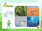 【核心素養(yǎng)】冀人版小學(xué)科學(xué)一年級(jí) 下冊(cè) 3 比較植物和動(dòng)物  課件+教案（含教學(xué)反思）