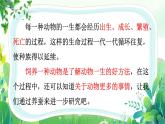 教科版三年級科學下冊全一冊全部課件（共24課）