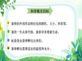 教科版三年級科學下冊全一冊全部課件（共24課）