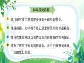 教科版三年級科學下冊全一冊全部課件（共24課）