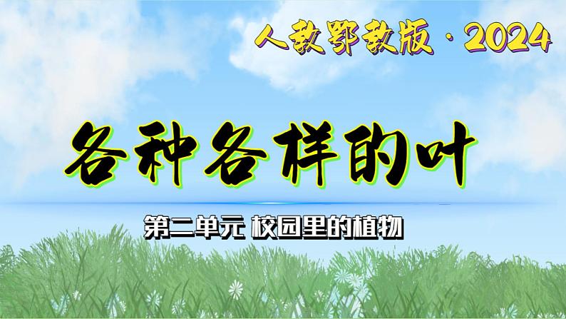 4《各种各样的叶》（课件）最新版科学一年级下册（人教鄂教版2024）第1页