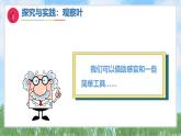 4《各種各樣的葉》（課件）最新版科學一年級下冊（人教鄂教版2024）