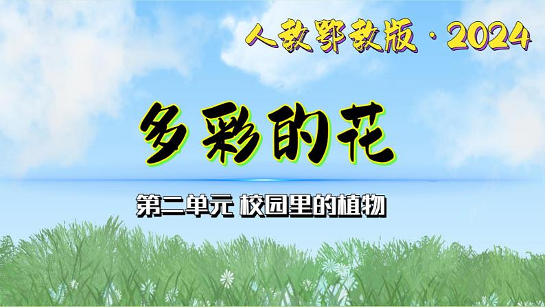 5《多彩的花》（课件）最新版科学一年级下册（人教鄂教版2024）第1页