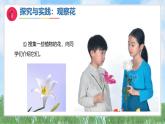 5《多彩的花》（課件）最新版科學一年級下冊（人教鄂教版2024）