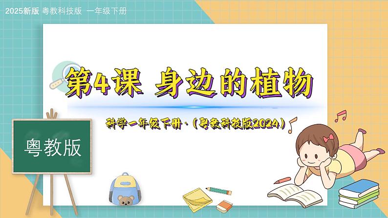 4《身边的植物》（课件）科学一年级下册（粤教科技版2024）第1页