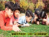 5《觀察植物》（課件）科學一年級下冊（粵教粵科版2024）