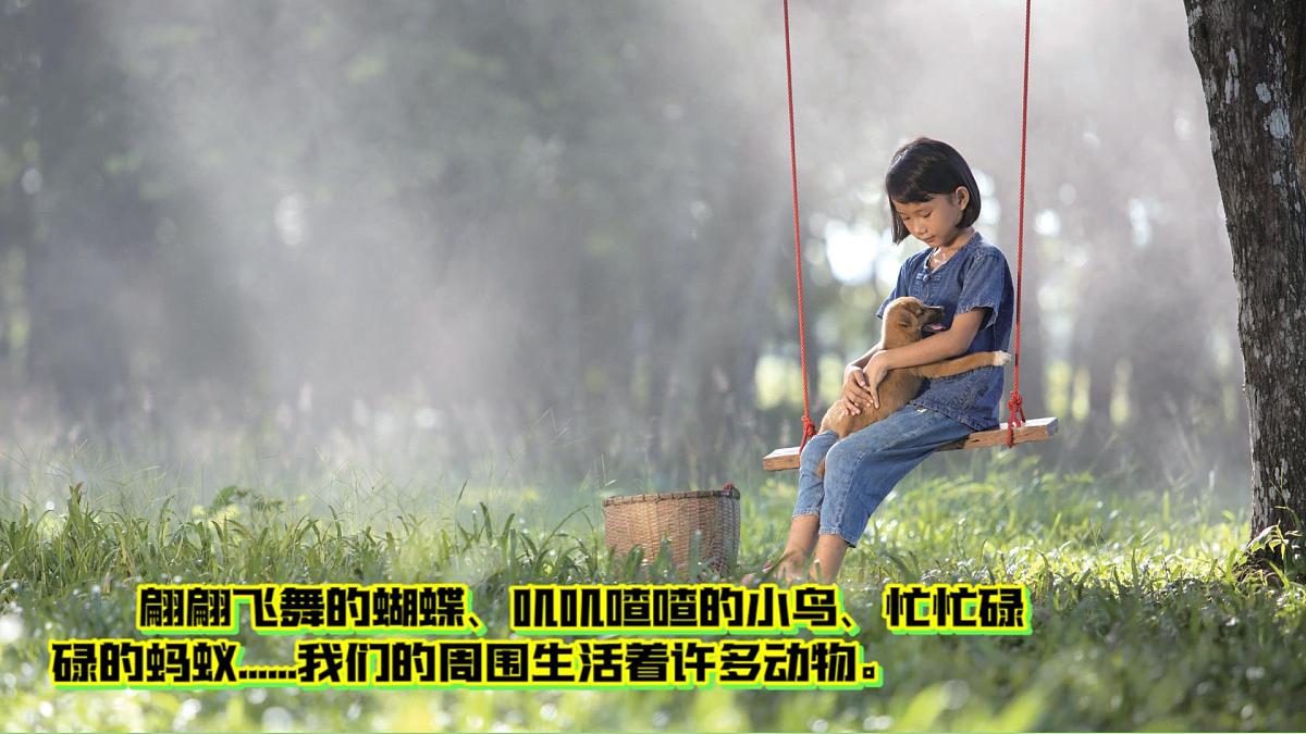 6《常见的动物》（课件）科学一年级下册（粤教科技版2024）第2页