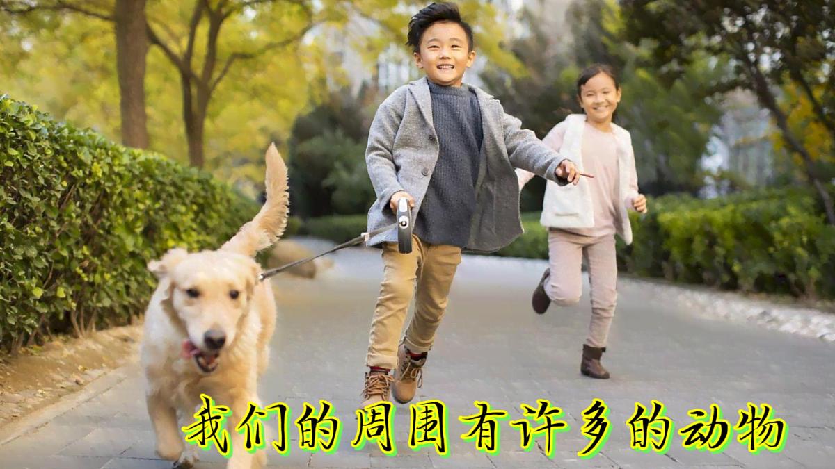 6《常见的动物》（课件）科学一年级下册（粤教科技版2024）第3页