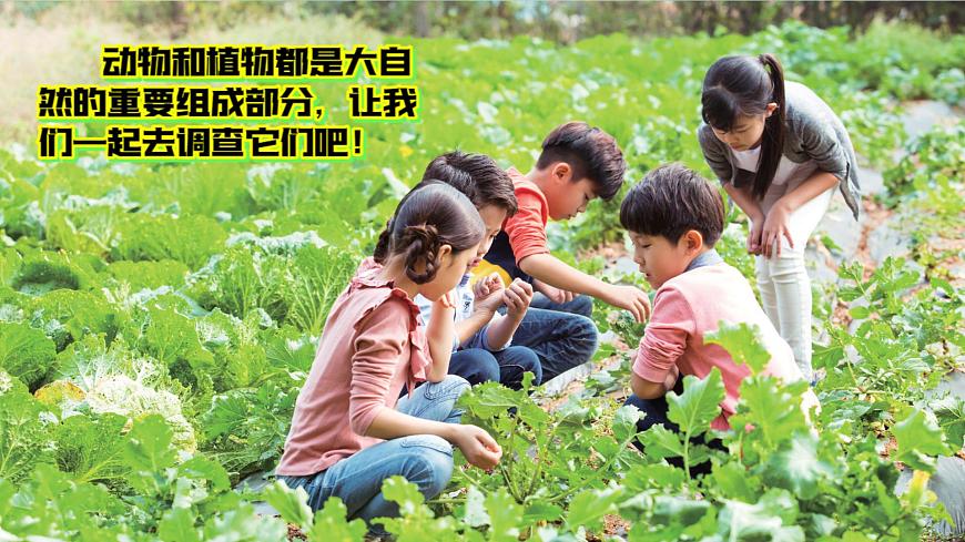 7《动植物的异同》（课件）科学一年级下册（粤教科技版2024）第2页