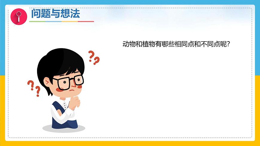 7《动植物的异同》（课件）科学一年级下册（粤教科技版2024）第3页