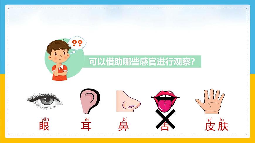 7《动植物的异同》（课件）科学一年级下册（粤教科技版2024）第8页