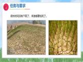 1-1《做一個(gè)小水車》（課件）2024大象版科學(xué)一年級(jí)下冊(cè)