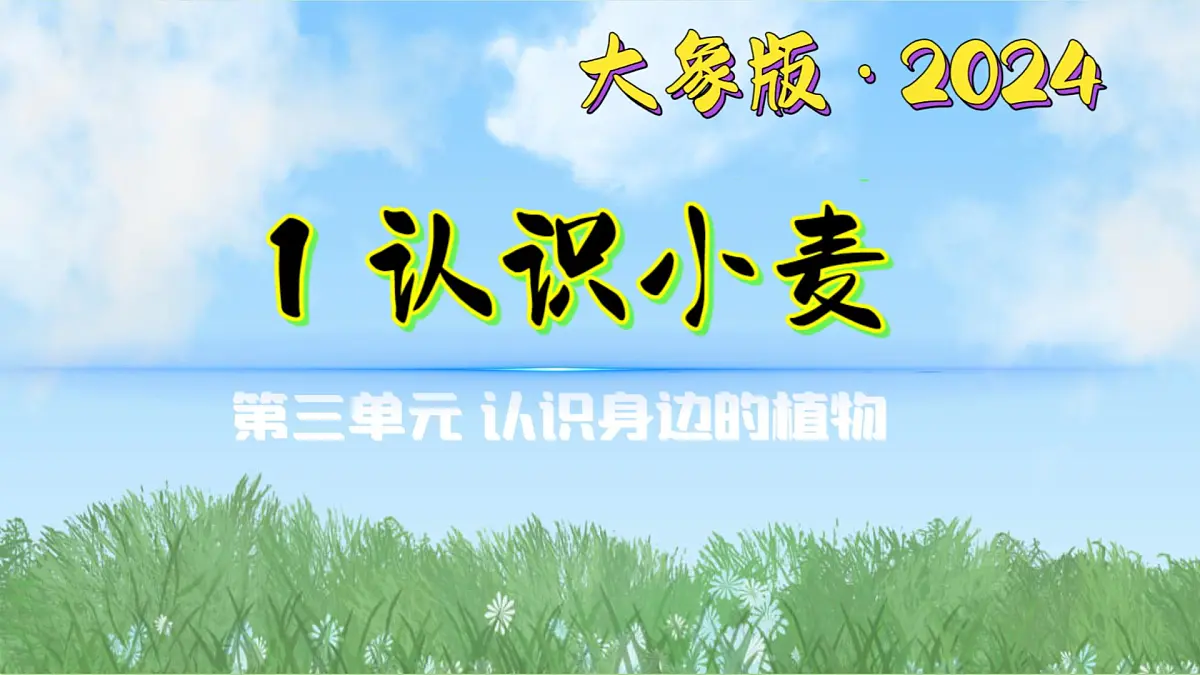 3-1《认识小麦》（课件）2024大象版科学一年级下册第1页