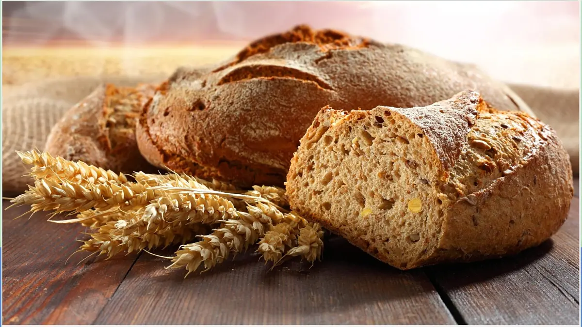 3-1《认识小麦》（课件）2024大象版科学一年级下册第2页