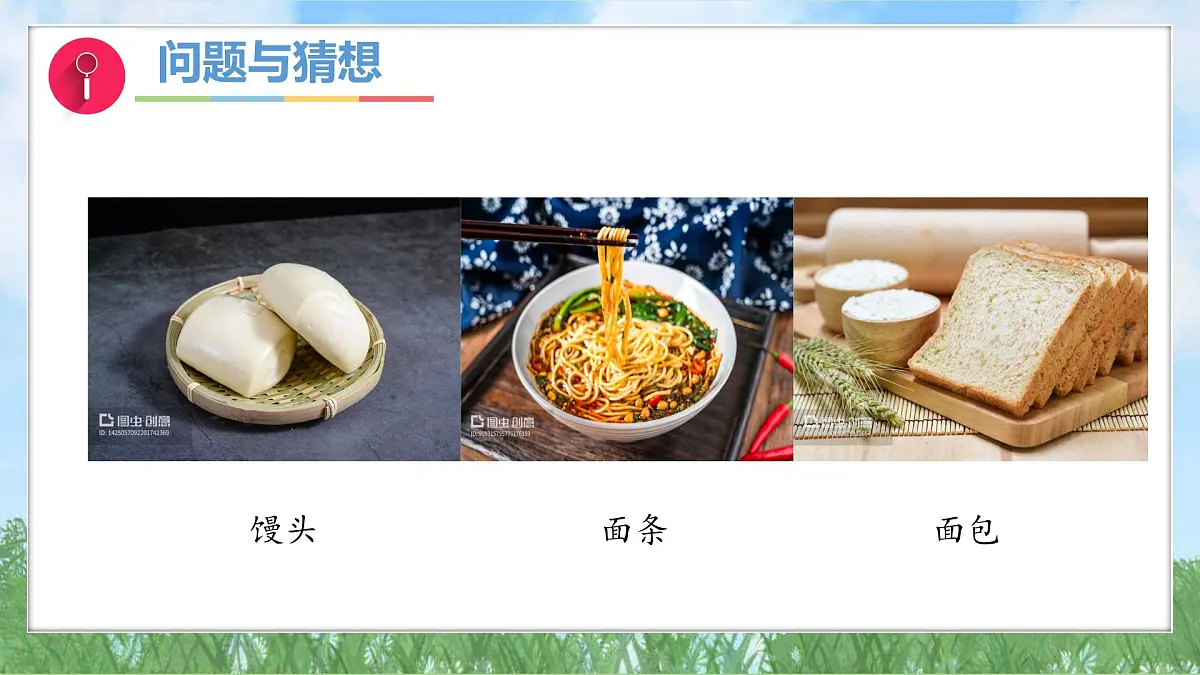 3-1《认识小麦》（课件）2024大象版科学一年级下册第4页