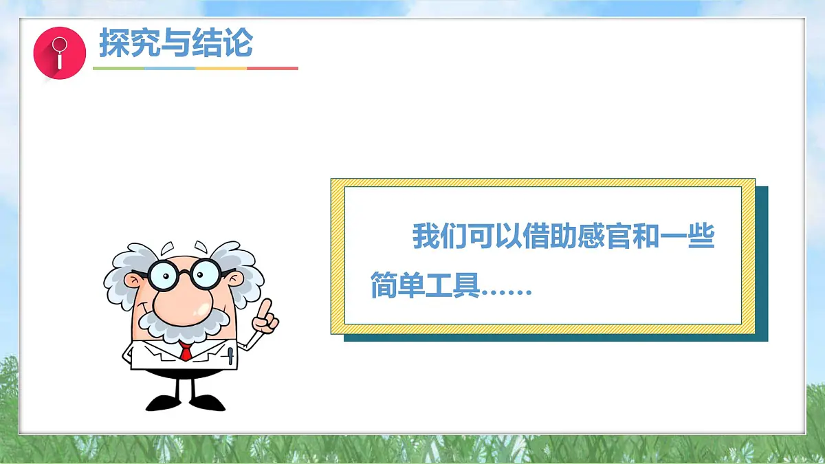 3-1《认识小麦》（课件）2024大象版科学一年级下册第8页