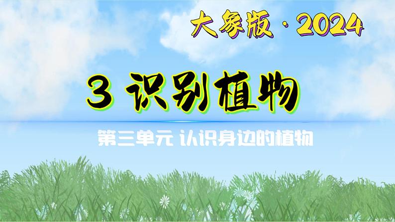 3-3《识别植物》（课件）2024大象版科学一年级下册第1页