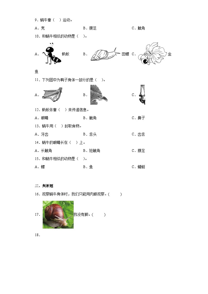 第2.2课 观察一种动物（同步练习）新教材教科版一年级下册第2页