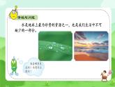 【核心素养】冀人版（2024版）小学科学一年级 下册 5 认识水  课件+教案（含教学反思）