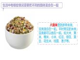 蘇教版三年級科學上冊3.10固體的混合與分離課件
