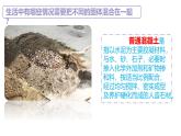 蘇教版三年級科學上冊3.10固體的混合與分離課件