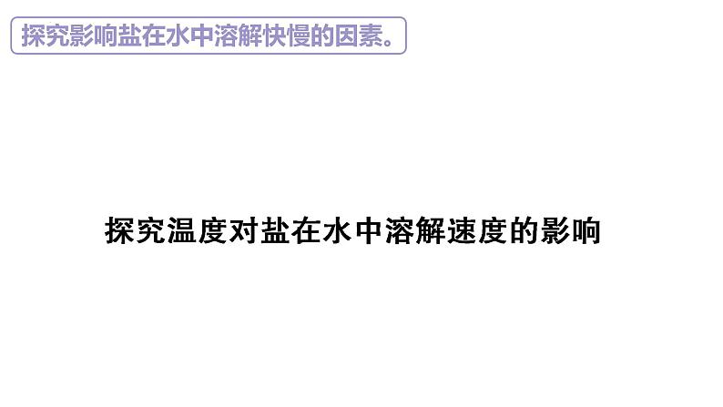 苏教版三年级科学上册3.11把盐放到水里课件第5页