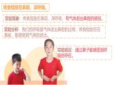 蘇教版三年級科學(xué)上冊3.16人的呼吸課件