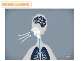 蘇教版三年級科學上冊3.17運動和呼吸課件