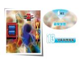 蘇教版四年級科學(xué)上冊4.13導(dǎo)體和絕緣體課件