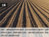 2.8《空氣和我們的生活》課件+教案+音視頻素材（教科版科學(xué)三年級(jí)上冊(cè)）
