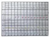 3.7《整理我們的天氣日歷》課件+教案+音視頻素材（教科版科學(xué)三年級上冊）