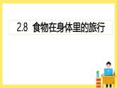 2.8《食物在身體里的旅行》課件+教案（教科版科學(xué)四年級(jí)上冊(cè)）