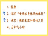 2.8《食物在身體里的旅行》課件+教案（教科版科學(xué)四年級(jí)上冊(cè)）