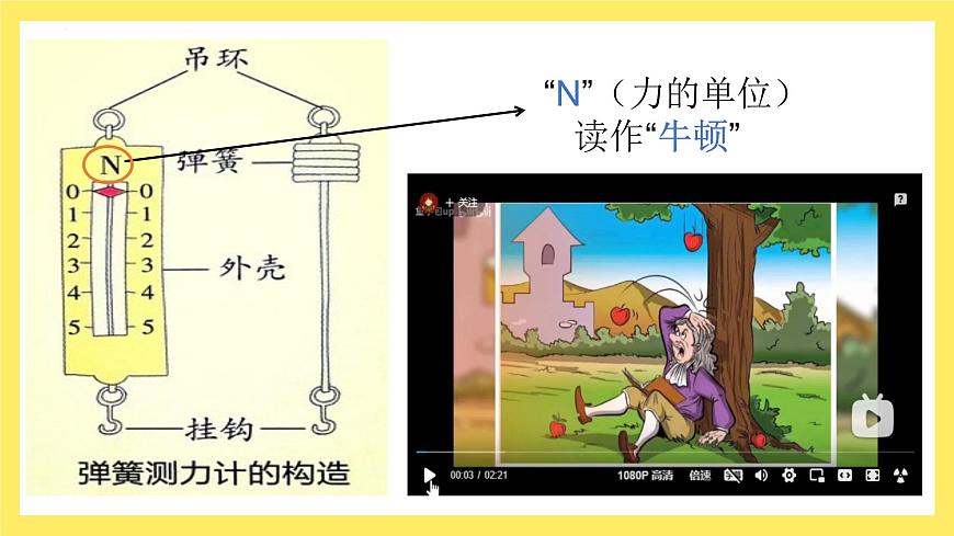 第3.4课 弹簧测力计（教学课件）四年级科学上册（教科版）第7页