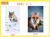 1.4《我們是怎樣聽到聲音的》課件+教案（教科版科學(xué)四年級上冊）