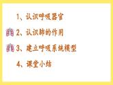 2.1《感受我們的呼吸》課件+教案（教科版科學(xué)四年級(jí)上冊(cè)）